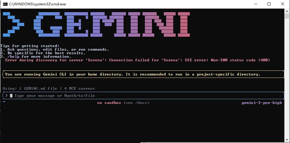 Gemini 安装成功