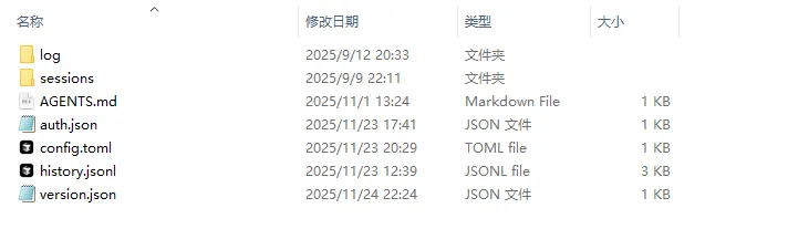 .codex 目录文件