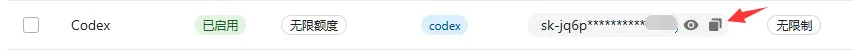auth.json 配置