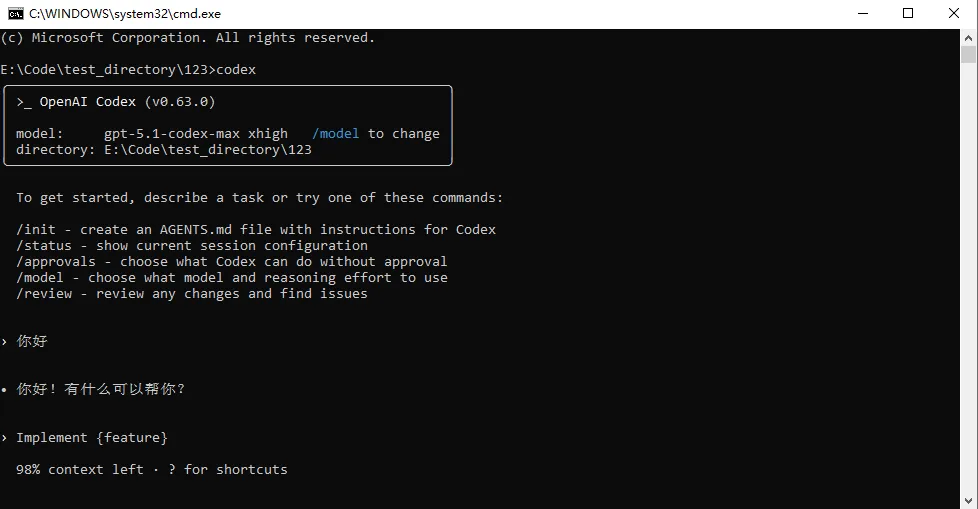 终端测试 codex