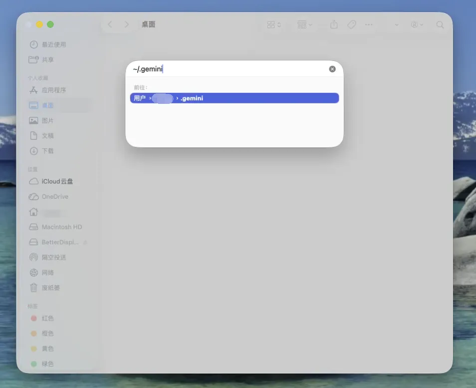 访达跳转 ~/.gemini