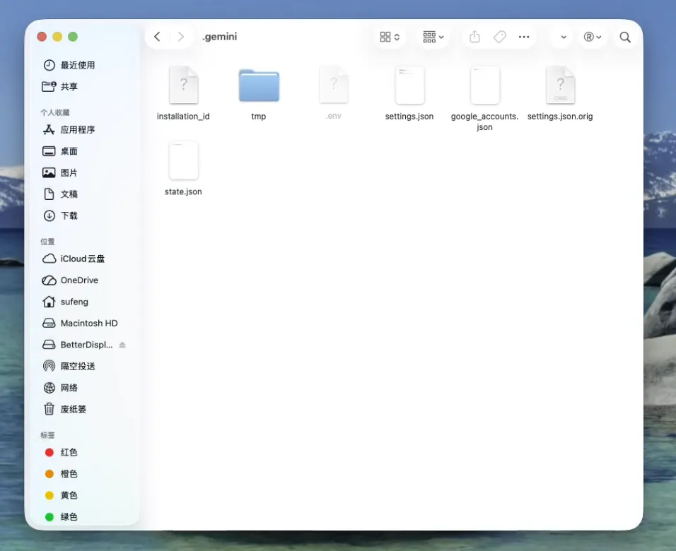 macOS .gemini 目录